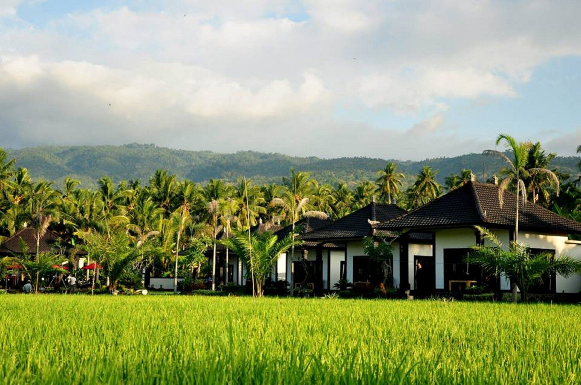 Vista exterior