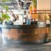 Recepció