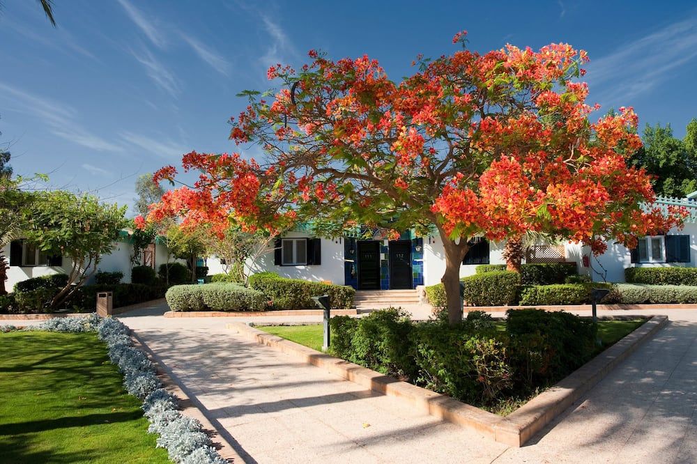 Vista exterior
