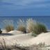 Platja