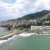 Altres