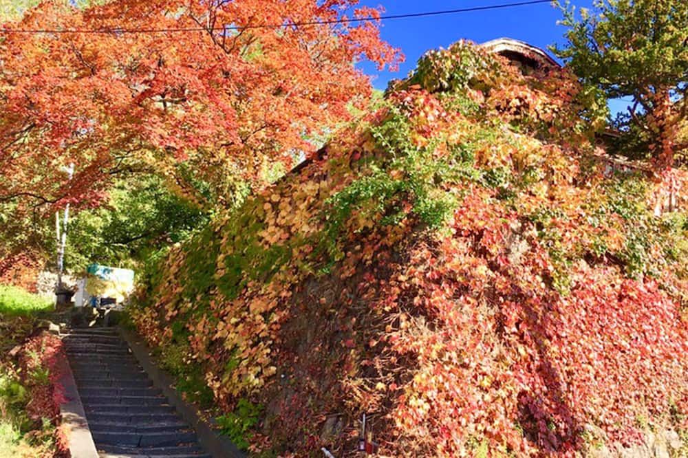 Vista exterior