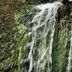 Altres