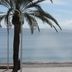 Altres