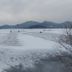 Altres