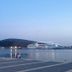 Altres