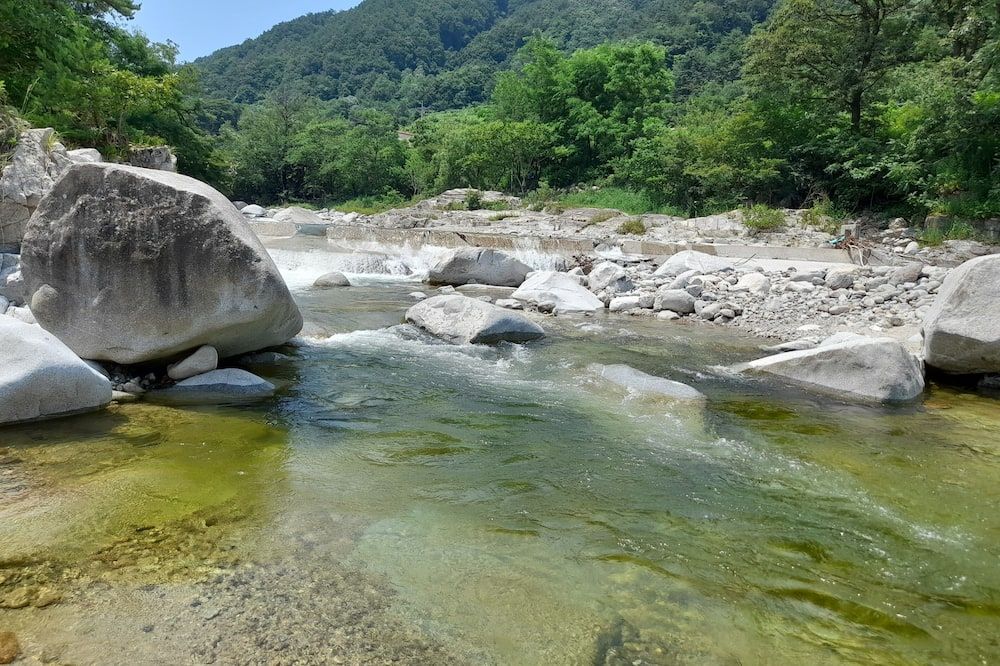 Altres