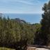 Altres