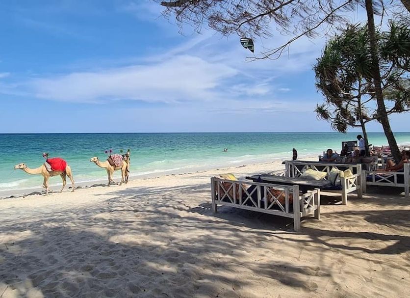 Platja Foto