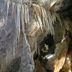 Altres