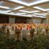 Sala de banquets