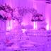 Sala de banquets