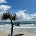 Platja