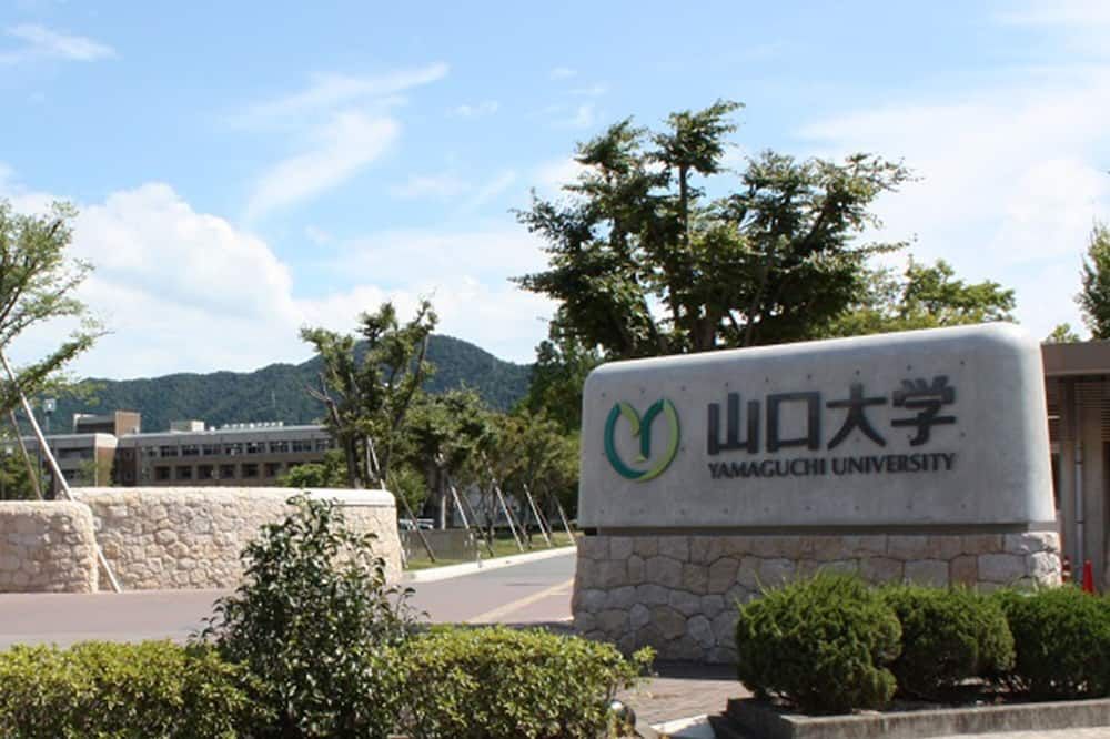 Vista exterior