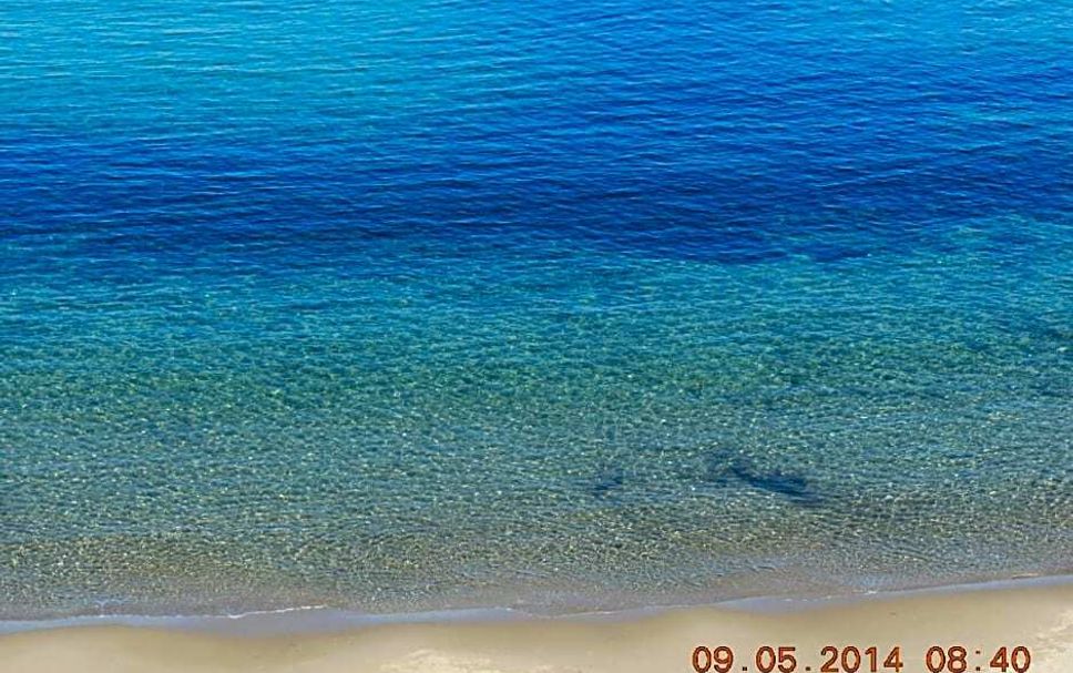 Platja Foto