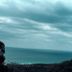 Altres