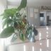Recepció