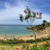 Platja