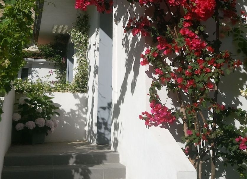 Vista exterior Foto