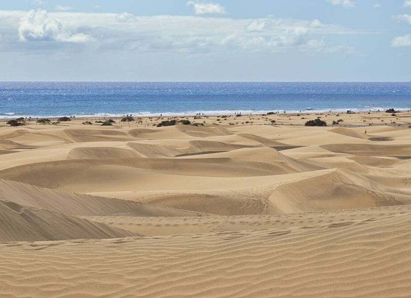 Platja Foto