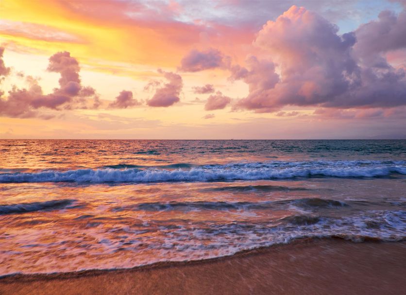 Platja Foto