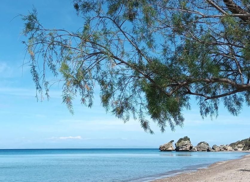 Platja Foto