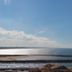 Altres