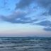 Altres