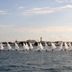 Platja