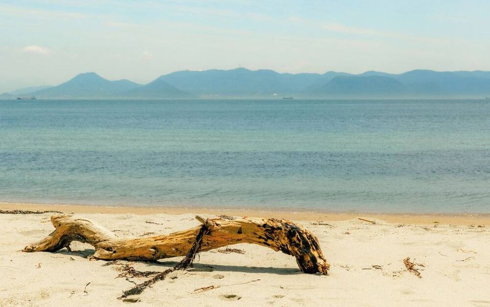 Platja Foto