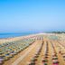 Platja
