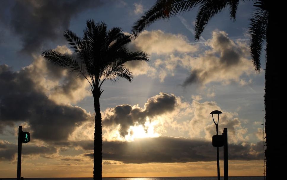 Altres Foto