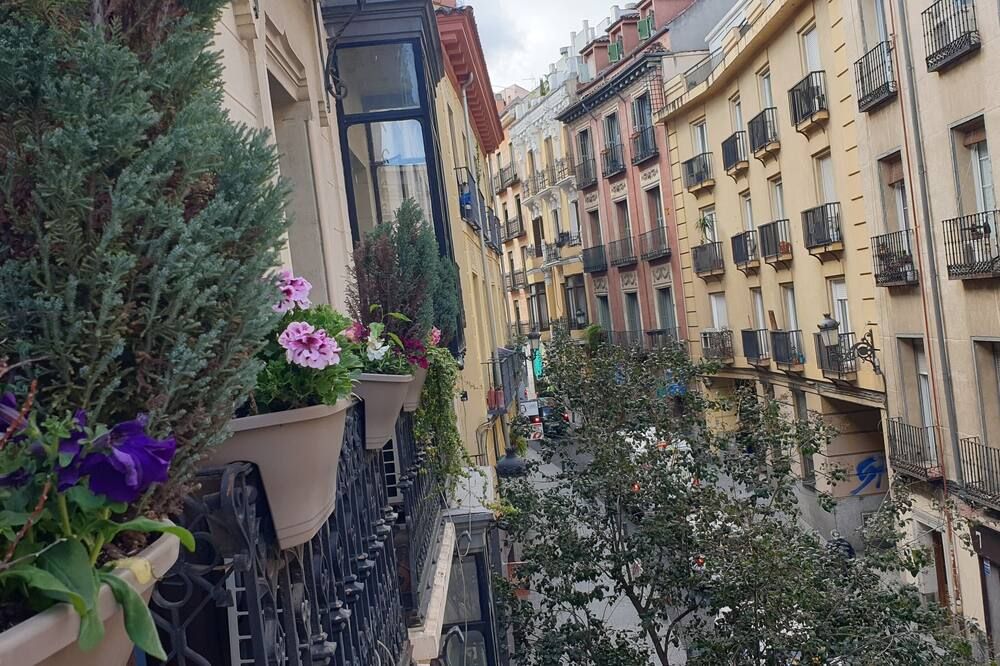 Vista exterior