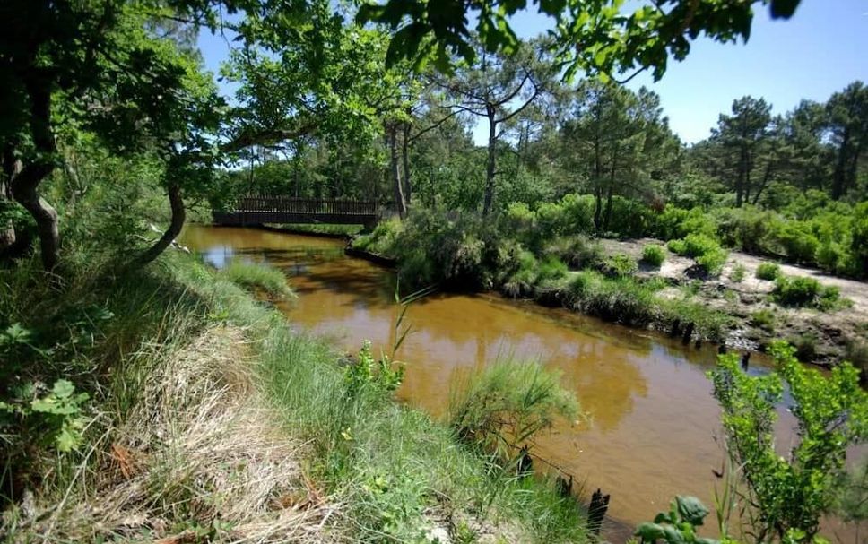 Vista exterior Foto