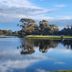 Camp de golf