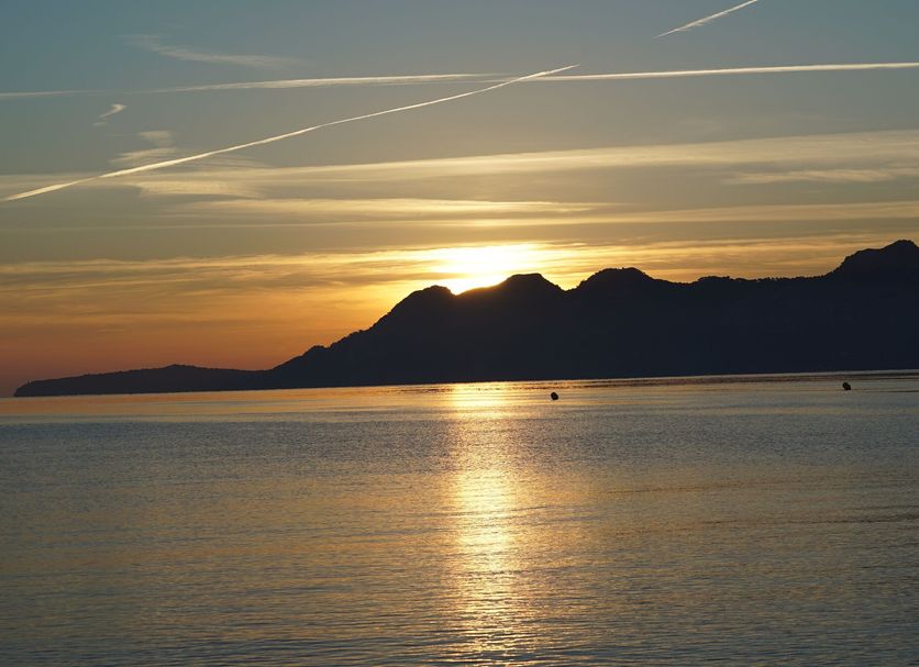 Altres Foto