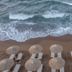 Platja
