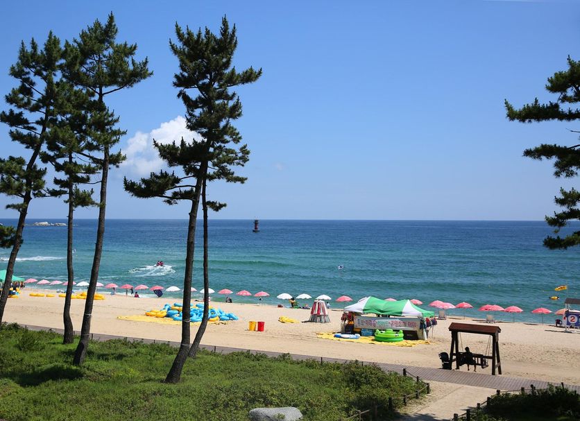 Platja Foto