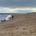Platja