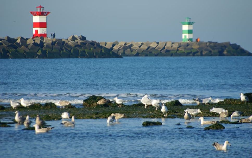 Altres Foto