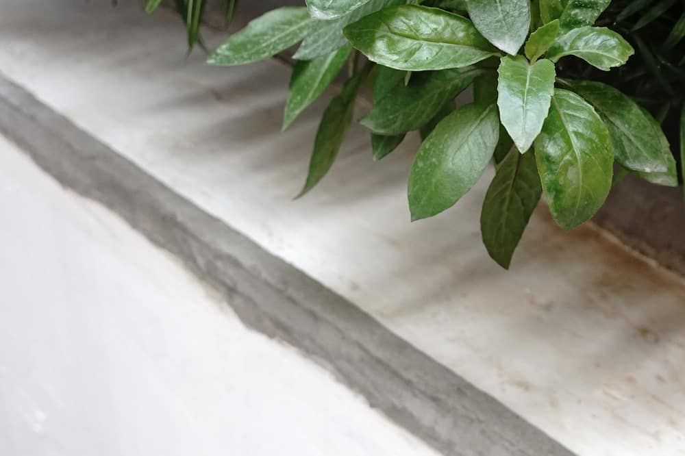 Edifici Foto