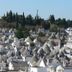Altres