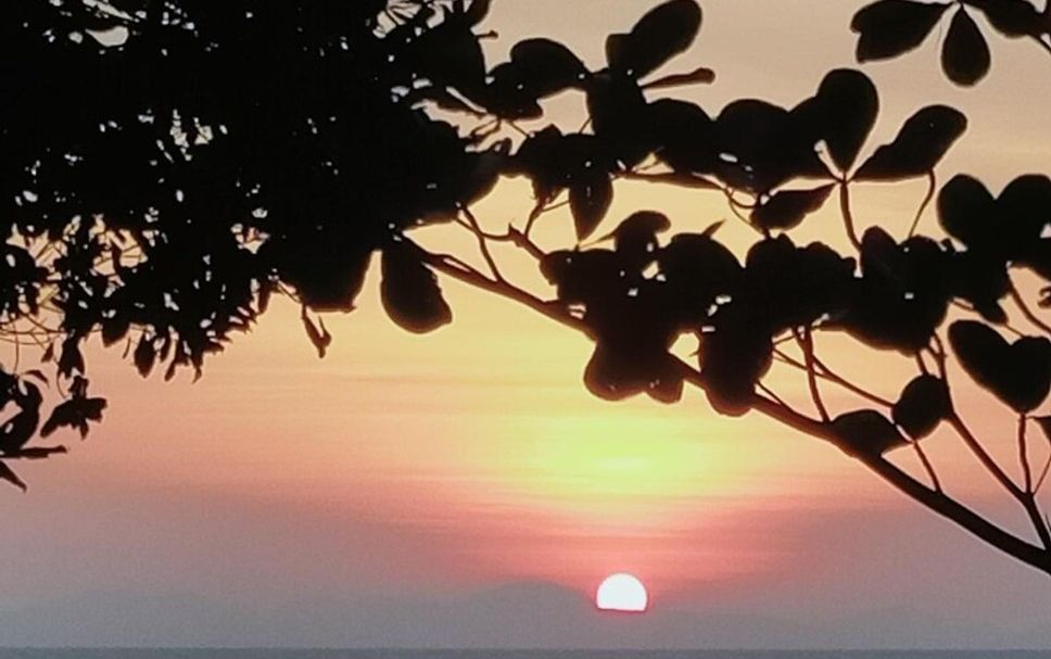 Platja Foto