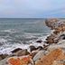 Altres