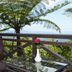 Balcó