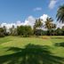 Camp de golf