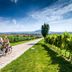 Altres