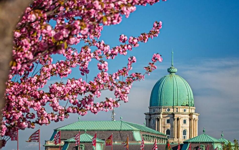 Altres Foto