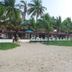 Altres