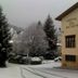 Altres